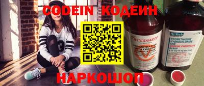 крисы Кингисепп