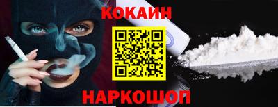крисы Кингисепп