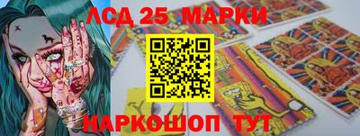 крисы Кингисепп