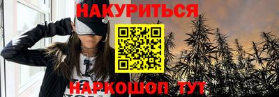 гашик Кимры