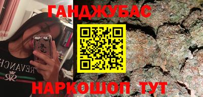 крисы Кингисепп