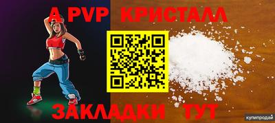 гашик Кимры