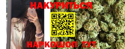 крисы Кингисепп