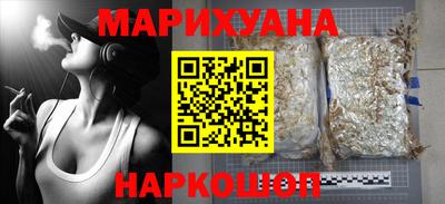 крисы Кингисепп