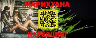 крисы Кингисепп