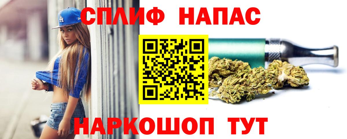 Конопля сатива Краснознаменск